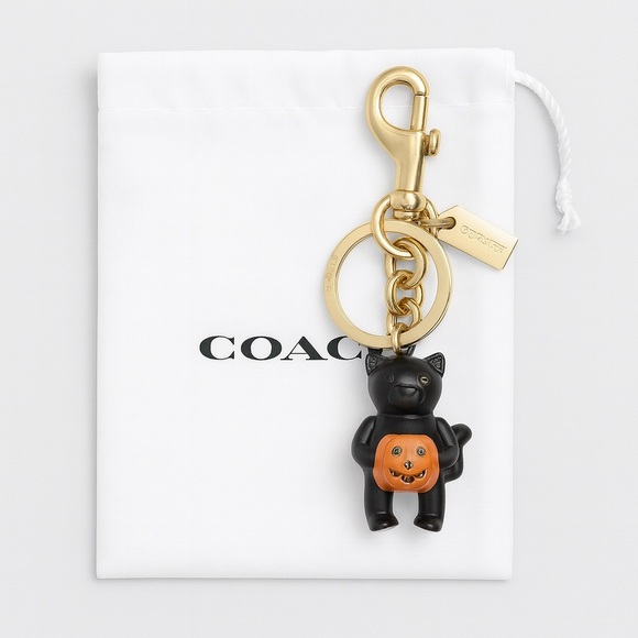Coach NWT 2024 Halloween Black Cat with Pumpkin Key Chain / Bag Charm CW480 - Picture 2 of 4